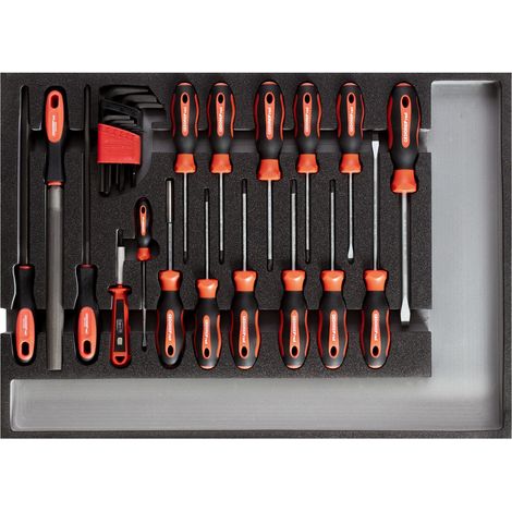 Kit outils GEDORE rouge tournevis et limes 570x410mm a 482x345mm (1/5)