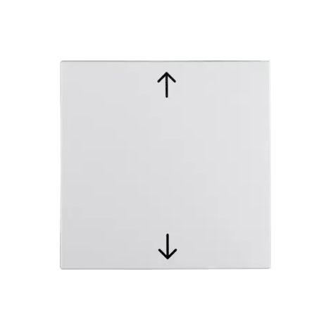 Berker Wippe mit Aufdr Symbol Pfeile S1/B3/7 pw 16201919 (1/2)