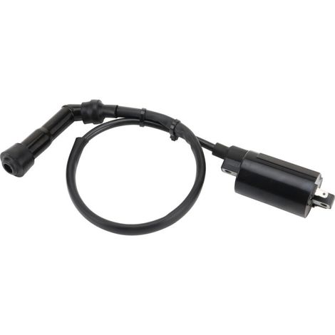 Zündspule kompatibel mit Suzuki Volusia 800 VI800 2001-2004 Motorrädern Modelle K1/K2/K3/K4, Hochvolt-Zweizylindermotor. (1/4)
