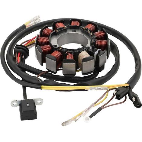 Bobine de stator de générateur 3086984 pour moto Sportsman 500 6x6 série 10 6x6 (1/5)