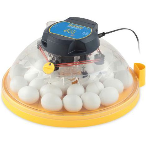 BRINSEA Maxi II ECO - 30 huevos de gallina- Incubadora analógica con volteo manual