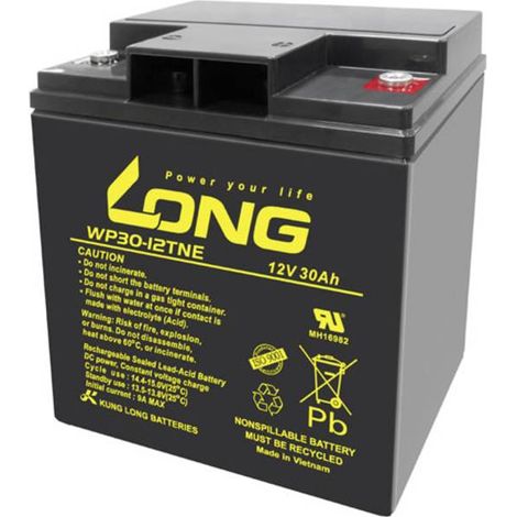 Long WP30-12TNE batteria al piombo nera 30 Ah 12 V