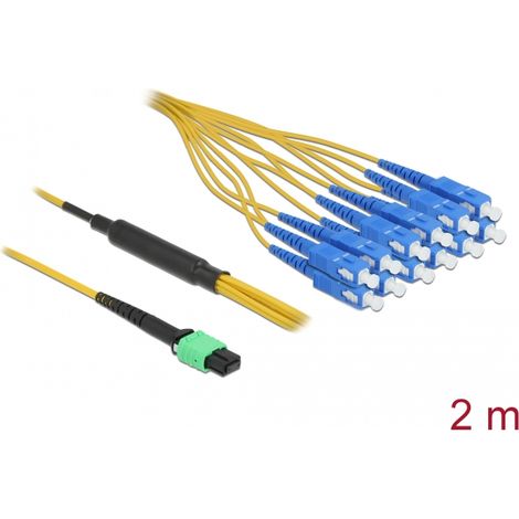 Delock Cable de fibra Ã³ptica MPO hembra a 12 x SC simplex macho, monomodo, 9/125 Âµm, 2 m