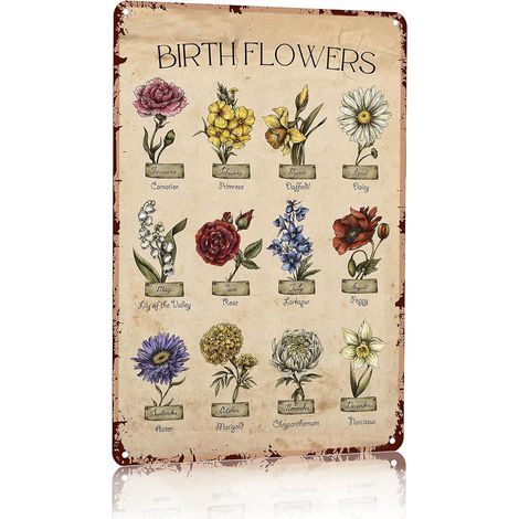 Cadeaux de Jardin Plaques de Jardinage Vintage Plaque Étaine Fleur du Mois de Naissance pour Mère Grand-mère, pour Maison, Jardin, Serre, Salon, Chambre, Cour 20X30 cm (1/5)