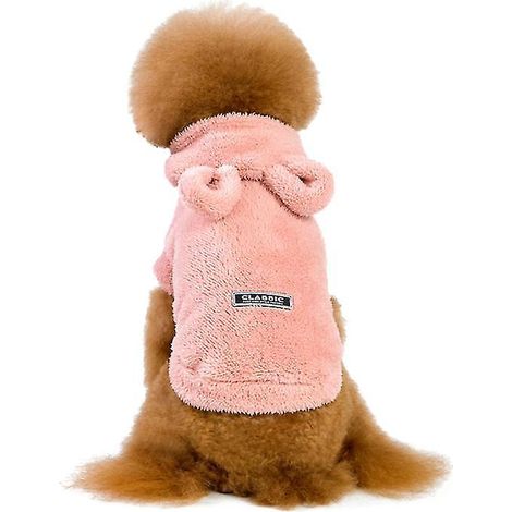 vêtement d'hiver pour chien