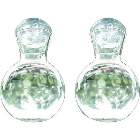 Vase en forme d'ampoule avec ventouses pour suspension à la fenêtre (1/4)
