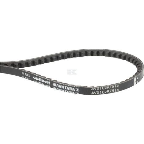 Cinghia JCB JC333C0288