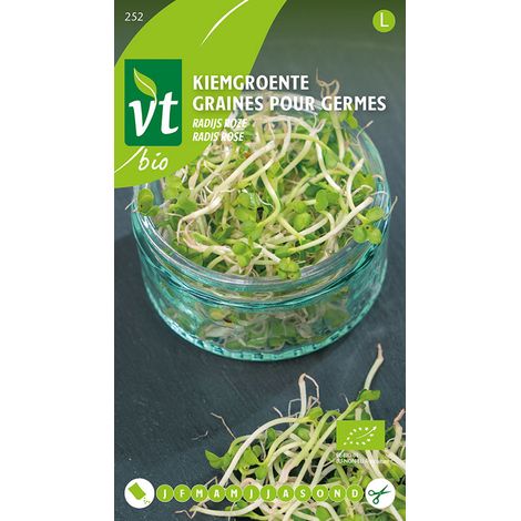 Graines Pour Germes Radis Rose - Ca. 16 gr (Livraison Gratuite) (1/2)