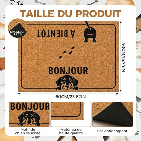 Paillasson Exterieur Entree 60x40 cm, Chat Teckel Bonjour Au Revoir, Tapis Antidérapant pour Porte, Décoratif, Resistant Pluie Maison (1/2)