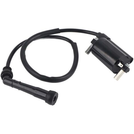 BUNTHAUS Bobine d'allumage compatible avec SUZUKI SAVAGE 650 LS650P 1986-2004 (accessoire)