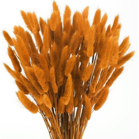120pcs Herbes de Pampa Orange Séchées, Bouquet Naturel pour Décoration Maison, Anniversaire et Mariage