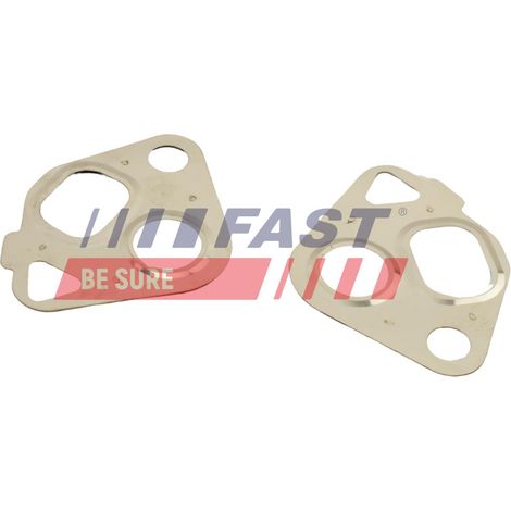 Kit guarnizioni valvola EGR rapida FT50607 (1/2)