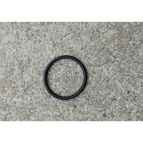 O-RING PER FILTRO INTERNO 12861