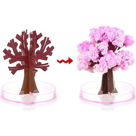 Sapin de Noël en papier magique qui grandit, jouet cadeau de Noël ou de Nouvel An pour enfant (1/5)