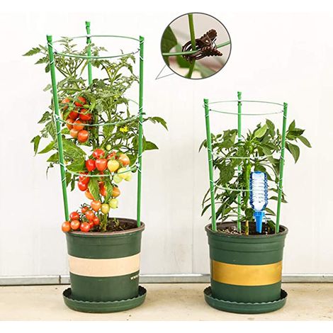 Lot de 4 cages tuteurs plantes grimpantes treillis jardin fleurs tomates accessoire jardinage (1/2)