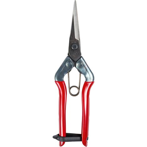 CHIKAMASA tijeras chikamasa recolectora t 552 185 mm. , Tijera Chikamasa recolectar t-552.- Tamaño: 185 mm.- Uso: recolecta de uvas.- Hoja de acero de altísima