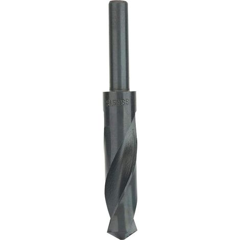 1/2" Fraise en Acier à Grande Vitesse21mm de Forêt de Torsion de HSS(21mm) (1/5)