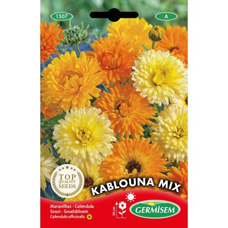Graines Souci KABLOUNA MIX (1/2)