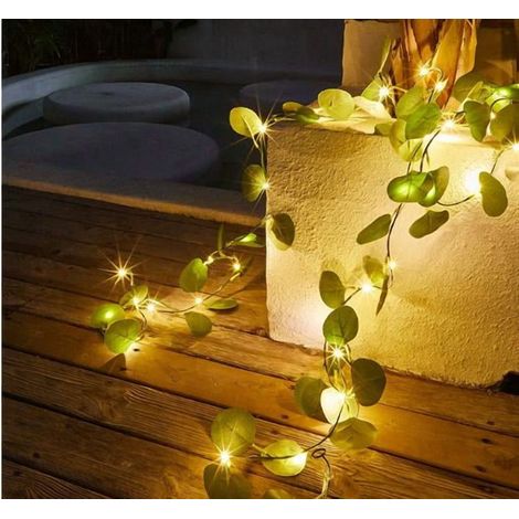 Guirlande Artificielle Olive - 2 M - LED Blanc Chaud - Fonctionne Sur Piles - Pour Cheminée Noël Action De Grâce - 1 Pièce (1/5)