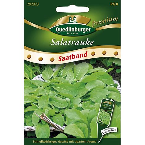 Quedlinburger Saatgut – Roquette – Ruban de semis de 6 mètres, graines d'herbes aromatiques, annuelle à vivace