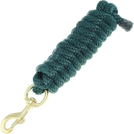 Lime - Longhina in nylon morbido qualità superiore con moschettone ottone 2,2m
