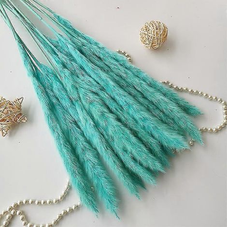 15 pièces de roseaux, épis de blé de la pampa, queue de lapin, fleurs séchées naturelles, bouquet, décoration de mariage, de Noël ou de décoration intérieure-Tiffany blue15pcs
