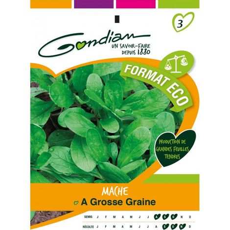 Gondian - Mache a Grosse Graine