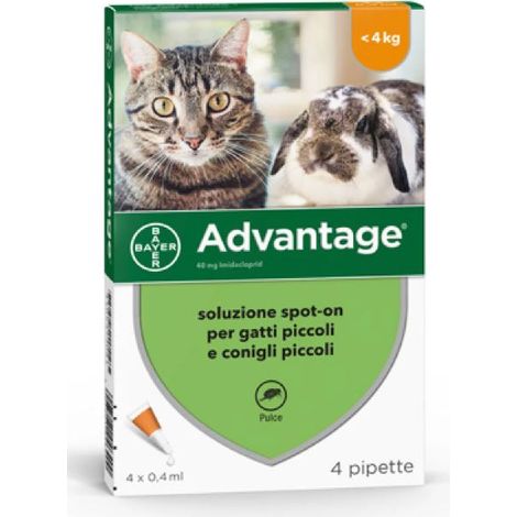 ADVANTAGE SOLUZIONE SPOT-ON PER GATTI E CONIGLI PICCOLI