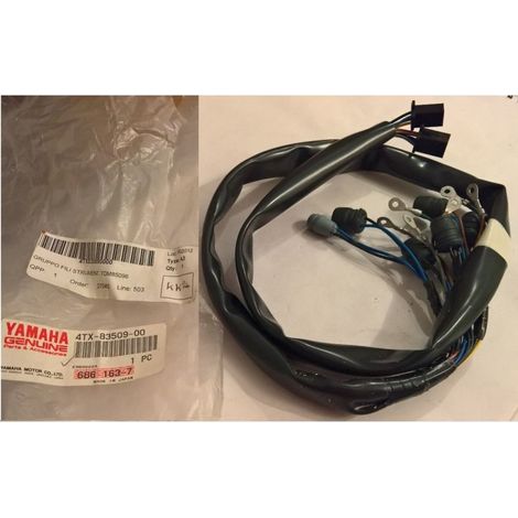 Yamaha 4TX-83509-00 - Cablaggio elettrico inferiore - TDM 850 1998
