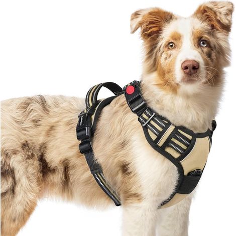 Harnais Chien avec 3 Boucles, Facile à Mettre et à Enlever, Harnais Anti Traction pour Chien avec Poignée et Attache Devant, Réglable, Réfléchissant, Arnet pour Chiens Moyen, Beige, M (1/5)