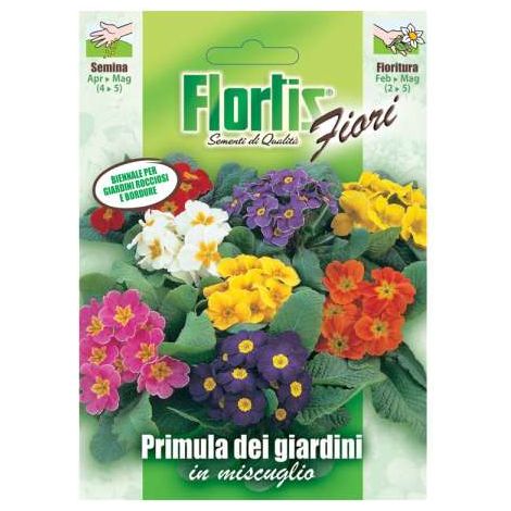 Primula Dei Giardini Mix