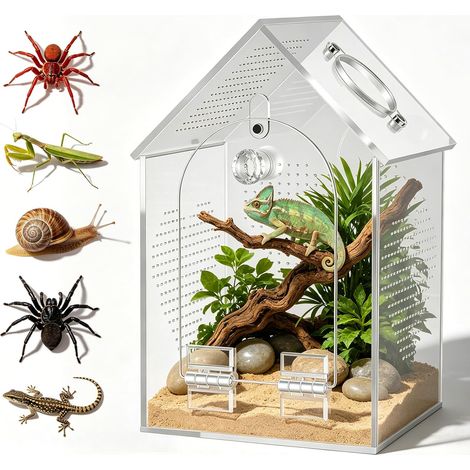 Terrarium acrylique panoramique à 360° pour reptiles, boîte d'alimentation pour araignée, escargot, lézard, vivarium avec ventilation transversale, terrarium à insectes (1/5)