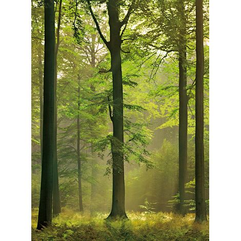 Papier peint panoramique forêt pour chambre | Tapisserie panoramique nature vert et marron | Papier peint panoramique automne arbres - 192 X 260 cm (4 pièces) (1/2)