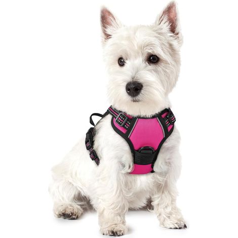 Hundegeschirr Rose Rot Größe S Brustumfang 34-63cm 1pc Verstellbare Gepolsterte Hundeweste Polyester Haustierweste (1/5)