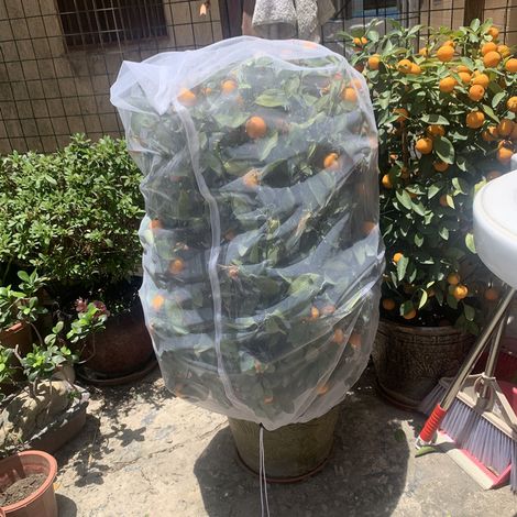 Housse de Protection pour Plantes, 2 Pièces Sac de Plantes avec Cordon de Serrage, Anti-Insectes Couverture de Plante, Maille Fine Maille pour la Protection des Légumes et Fruits (1x1.4m)