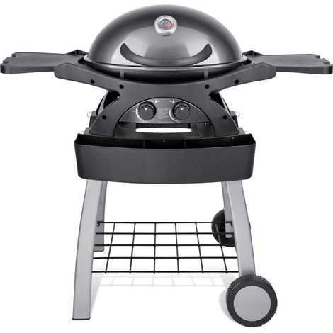 Barbecue a Gas GPL 2 Fuochi 5,2kW 2 Ripiani con Carrello Twin Grill Grigio (1/5)