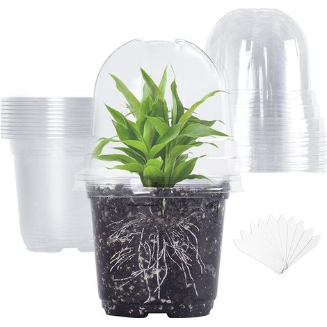 Plastic Flower Pots and Self-Adhesive Labels, 10 Pcs Nursery Pots Transparent with Humidity Dome, Diameter 10 cm Transparent Pot with Drainage Holes for Indoor Plants (1/5)