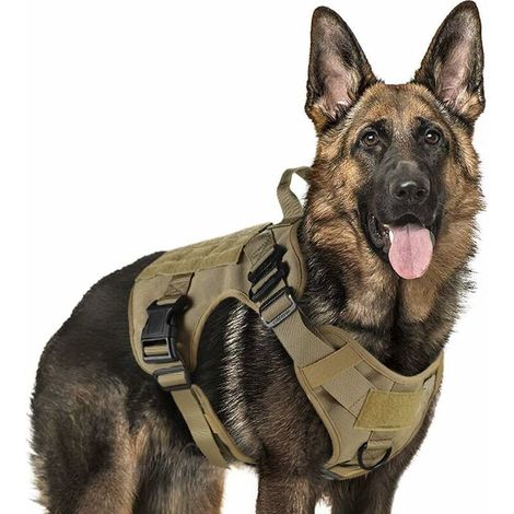 Harnais Tactiques pour Chien M Marron, Gilets à Anneaux pour Chiens de Travail Militaires, Harnais Militaires Chien d’Entraînement sans Tension, avec Pinces à Sangle pour Randonnée et Chasse-L (1/5)