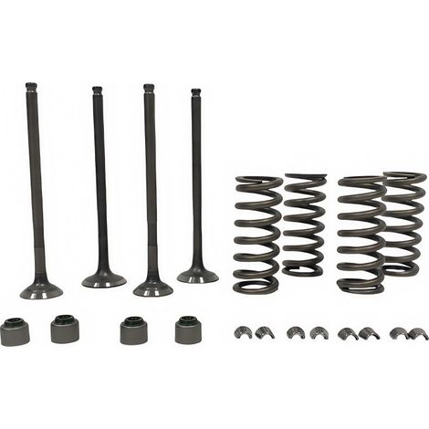 Valve stem seals for motorcycle engines, compatible with springs for YAMAHA YFZ R15 TMAX155 VIVINO155