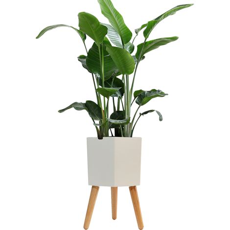 Intelligenter geometrischer Blumentopf – 2-in-1-Wasseralarm + Belüftung – Moderner Bonsai – Holzbeine – Batteriebetrieben – Ideal für den Innenbereich