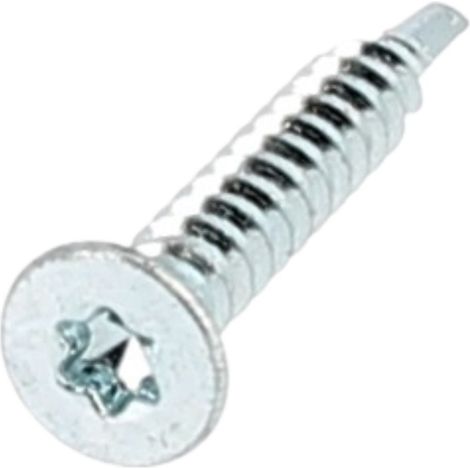 Autoperceuse TF Torx 4.2X25 Acier Zingué Blanc DIN 7504O (1/2)