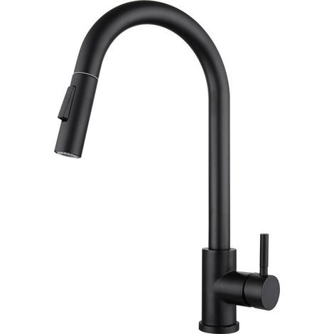Kitchen Faucet with Pull-Out Spray in Modern Stainless Steel Single Handle Frosted Black (1/4)