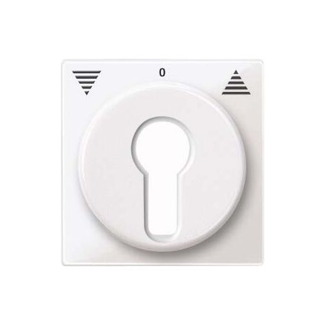MERTEN 319419 ANATOMIQUE DE PLAQUE CENTRALE POUR VOLET ROULANT-INSERTS RAST INTERRUPTEUR SYSTEM M, BLANC POLAIRE BRILLANT