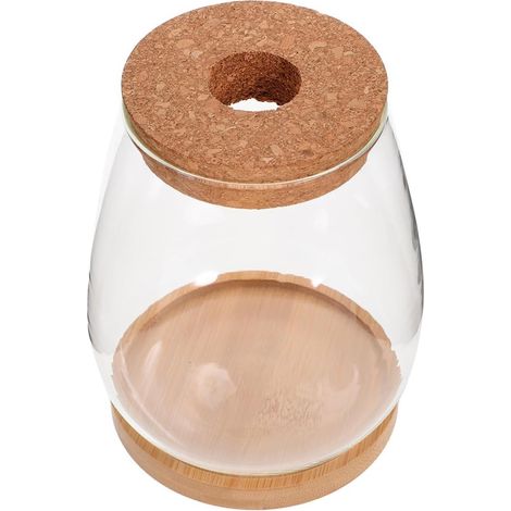 1 Satz Glas Terrariumflasche für Hydrokultur Pflanzen mit (1/5)