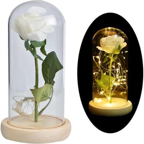 La Belle et la Bête Rose Cadeau Mère pour Maman Femme Rose Fleur de verre en verre pour Mariage Anniversaire Décoration Maison Bureau (1/5)