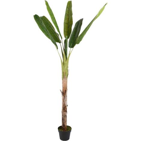 Pianta di Banano artificiale 280cm