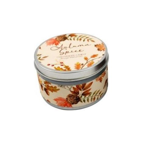 Autumn Spice Tin Candle Cinnamon, Clove, Nutmeg Vanilla Scent Fall Candle Cosy Home Decor Seasonal Display decoration (1/5)