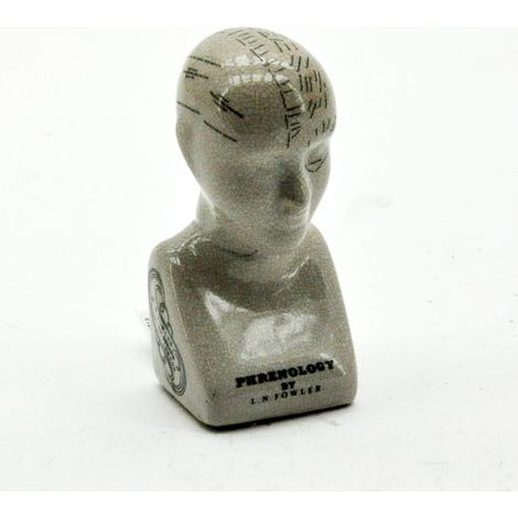 6 Inches Phrenology Head Ornament - L7 x W8 x H16 cm