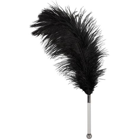 Gatita mala - Cosquilleador de plumas negras (1/2)