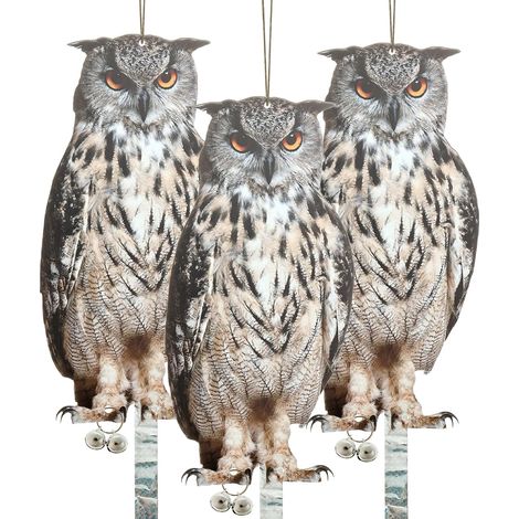 Hiboux répulsifs anti-oiseaux et petits animaux, réfléchissants et impermeables (3 piezas) (1/5)